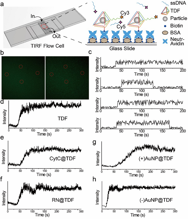 1634868006633064.png 20210617111618_42220.png