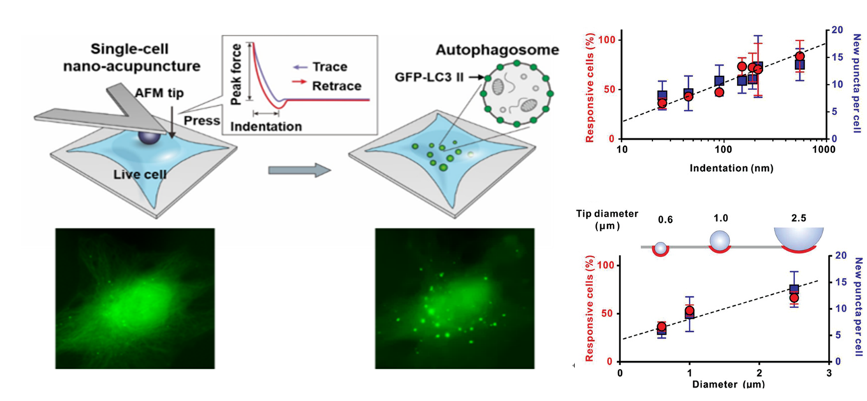 1635756842477494.png 图片1.png