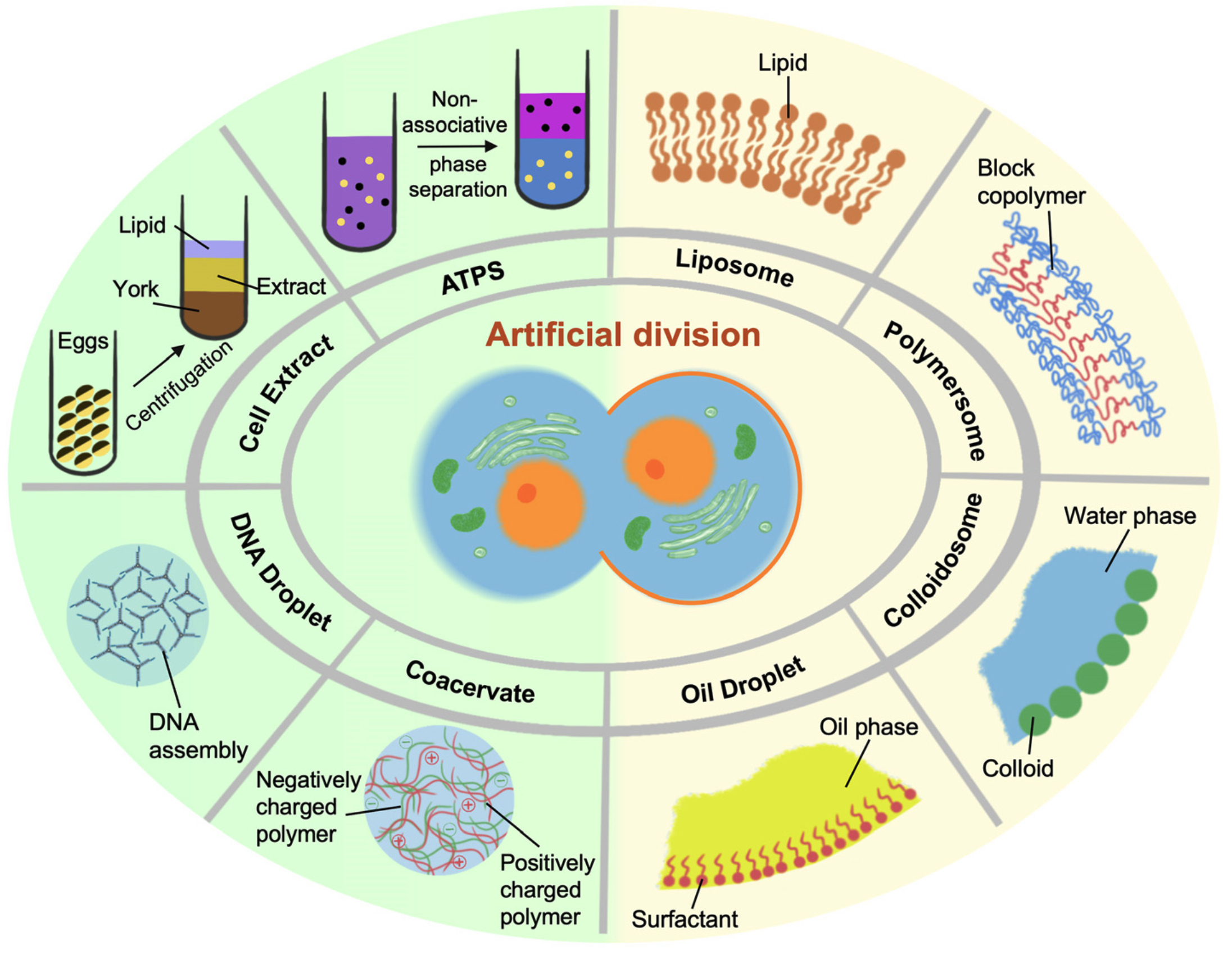 1685079576104859.jpg Screen Shot 2023-05-26 at 13.31.24.jpg