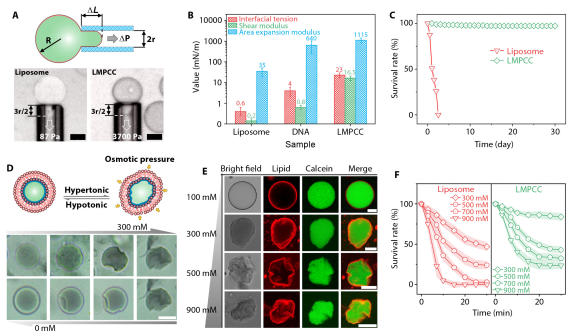 1708565247261507.png 图片 3.png
