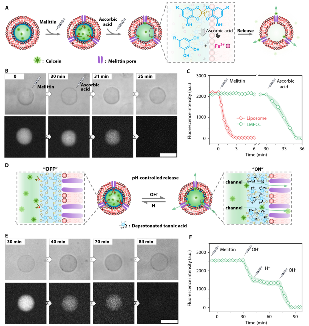 1708565263542136.png 图片 5.png