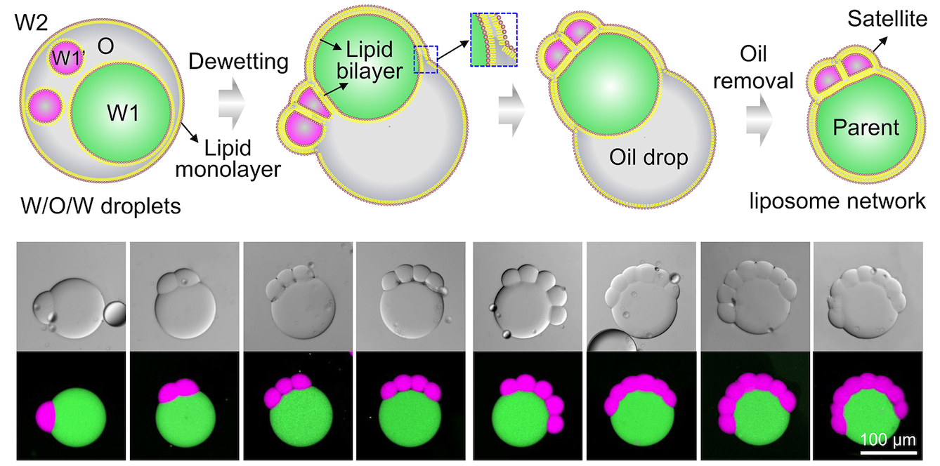 1730855078337733.png 1730855078337733.png