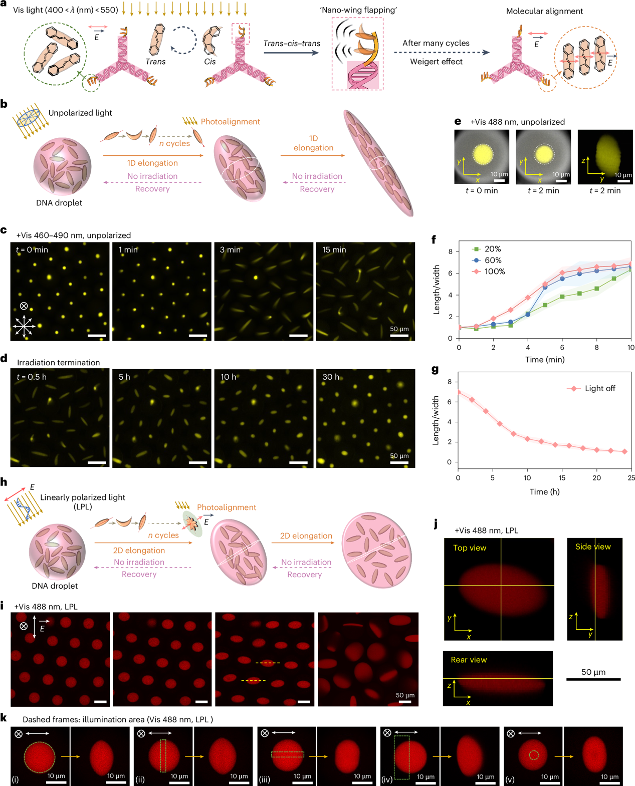 1744249978453521.png 3.png