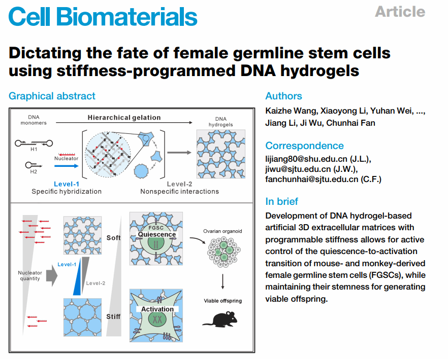 1756631127473035.png 1.png