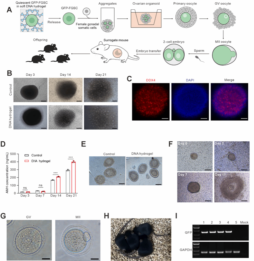 1756631140386059.png 2.png