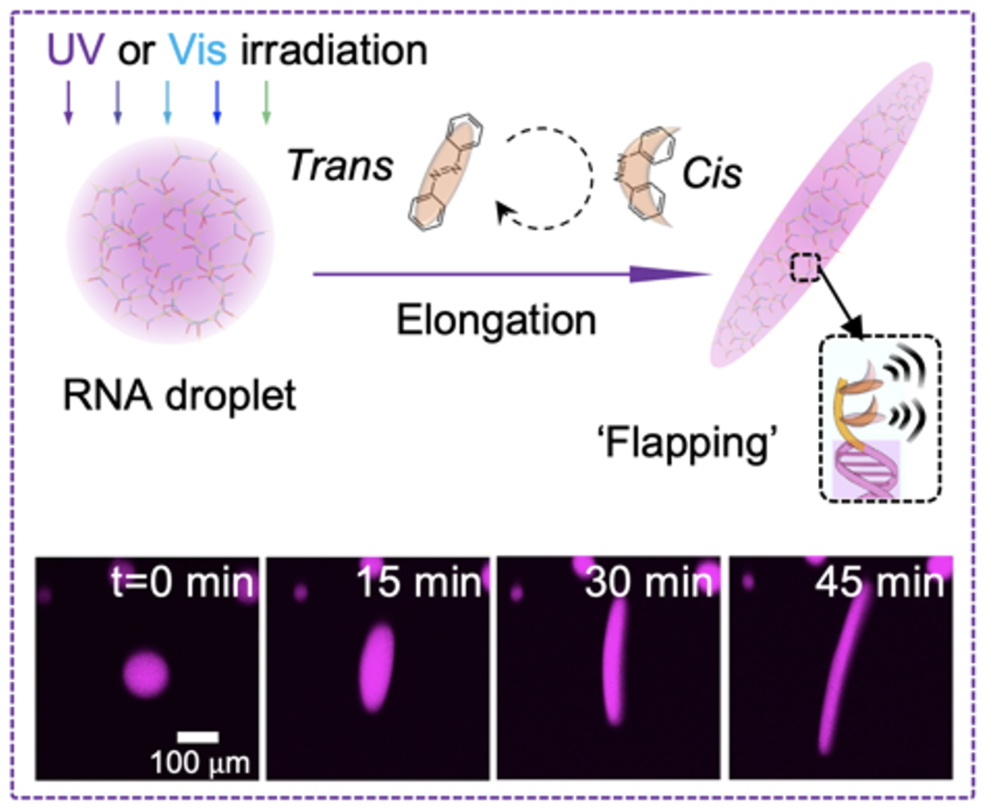 1757745355163185.png Screen Shot 2025-09-13 at 14.33.14.png